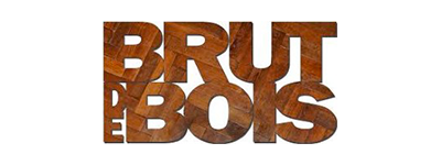 Brute de bois pour la rénovation de vos fenêtres en bois et du double vitrage à Nantes par DV Renov